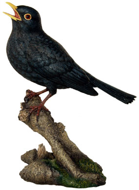 Amsel